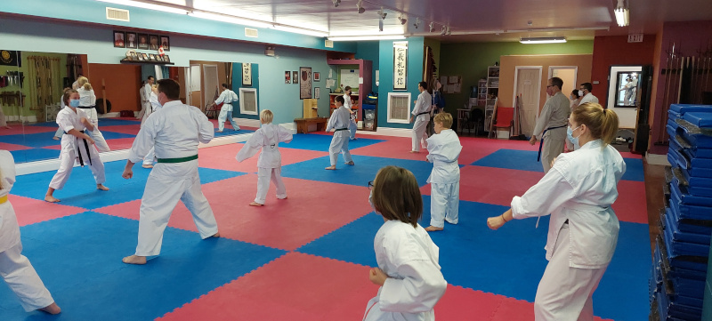 Busy Dojo